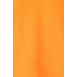 CAMISOLA POLAR AV 180