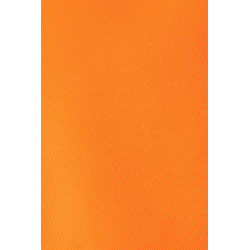 COLETE AV 145