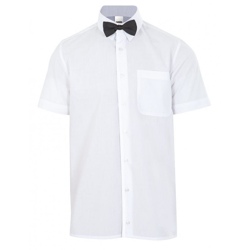 BOW TIE 56