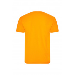 T-SHIRT MANGA CURTA 150 TS151UC T-SHIRT MANGA CURTA 150 TS151UC